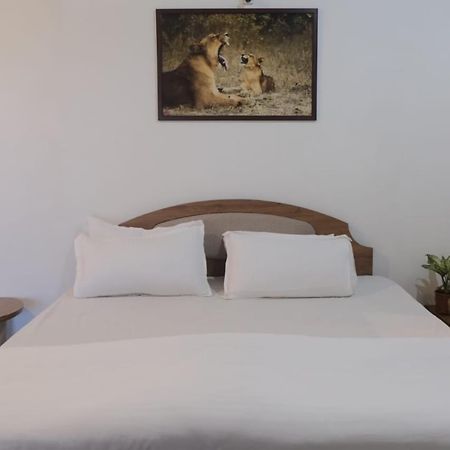 Hotel Ashirwad Junagadh Εξωτερικό φωτογραφία